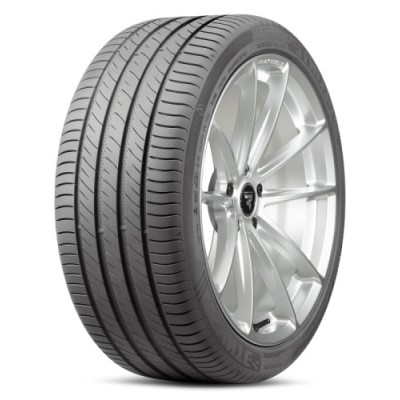 Купить шины и диски в Минске и Беларуси Delinte DS-2 SUV 245/65R17 107H